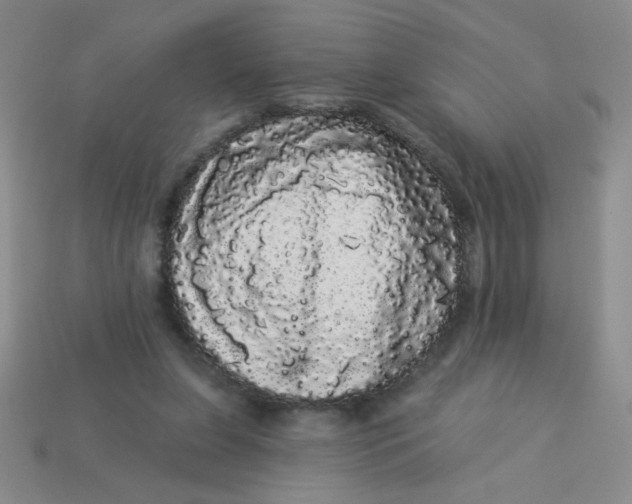 X0000113980255200910161629