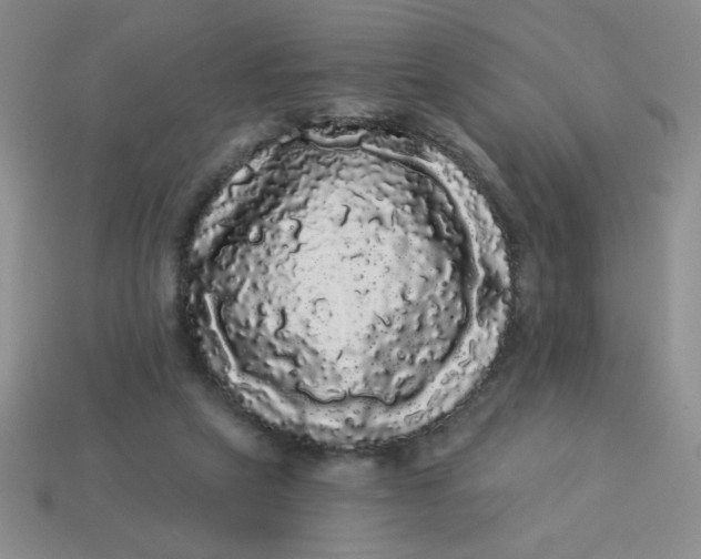 X0000113980257200910161629