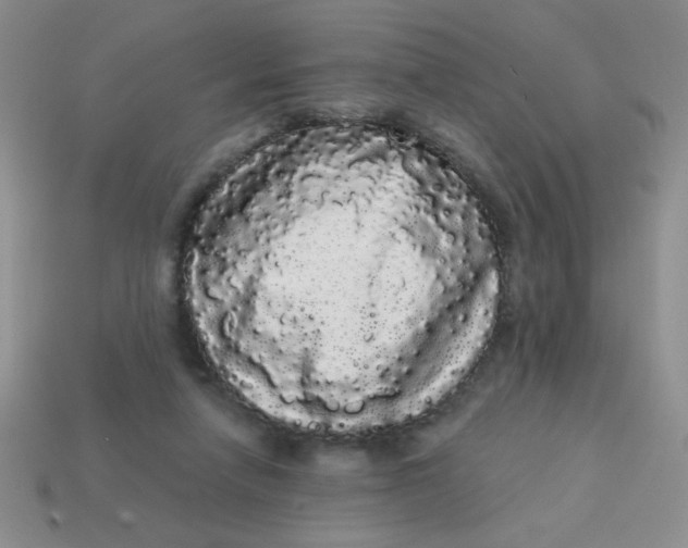 X0000113980258200910161629