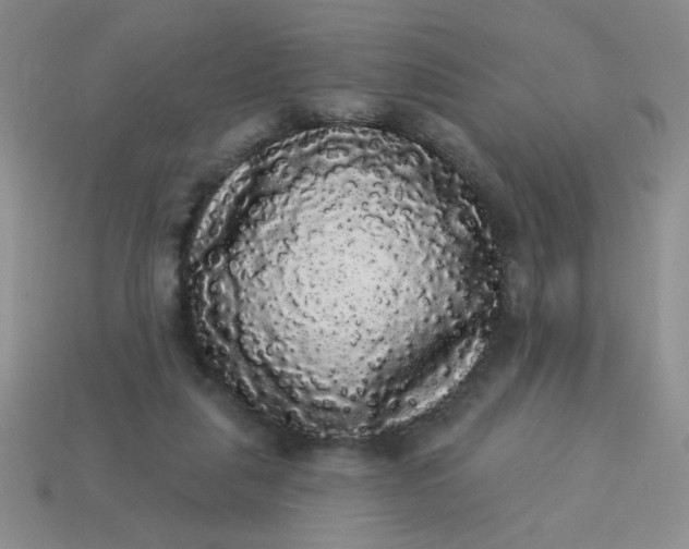 X0000113980259200910161629