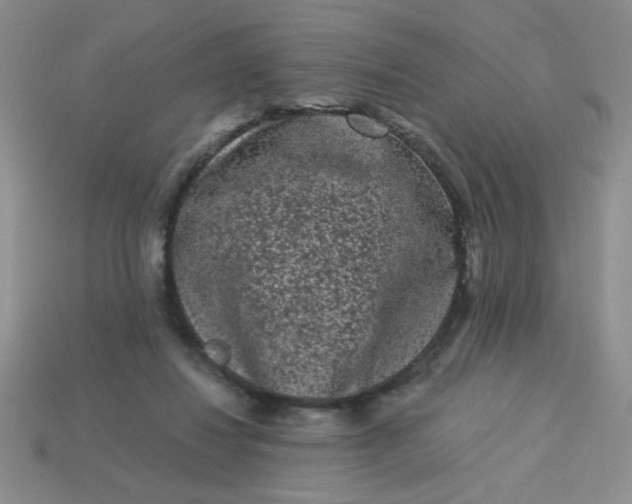 X0000113980260200910161629