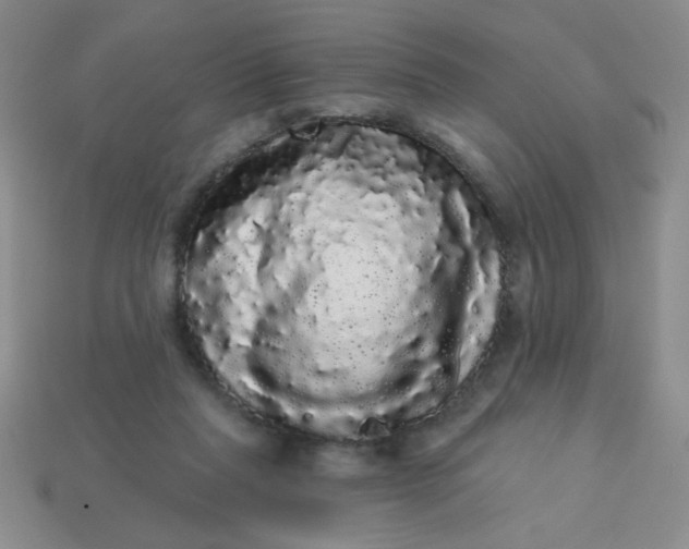 X0000113980261200910161629