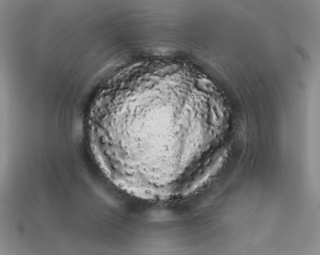 X0000113980262200910161629