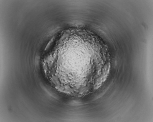 X0000113980263200910161629