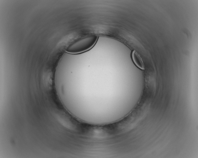 X0000113980264200910161629