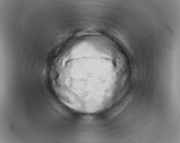 X0000113980265200910161629