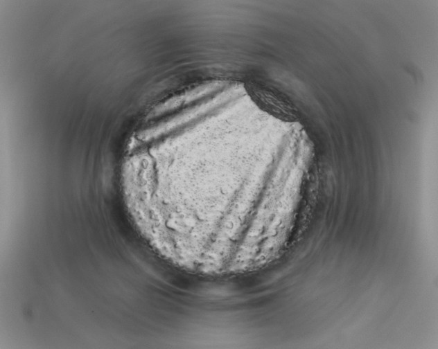 X0000113980266200910161629