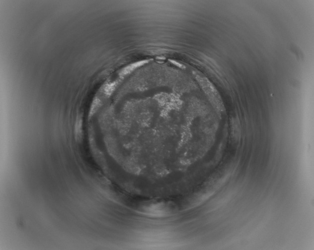 X0000113980267200910161629