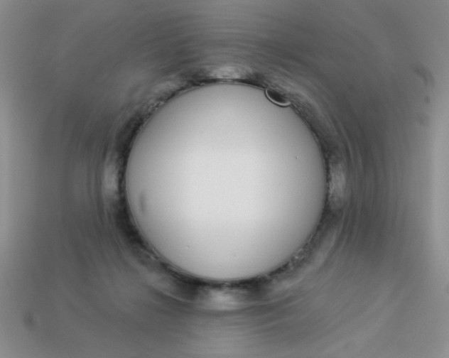 X0000113980268200910161629