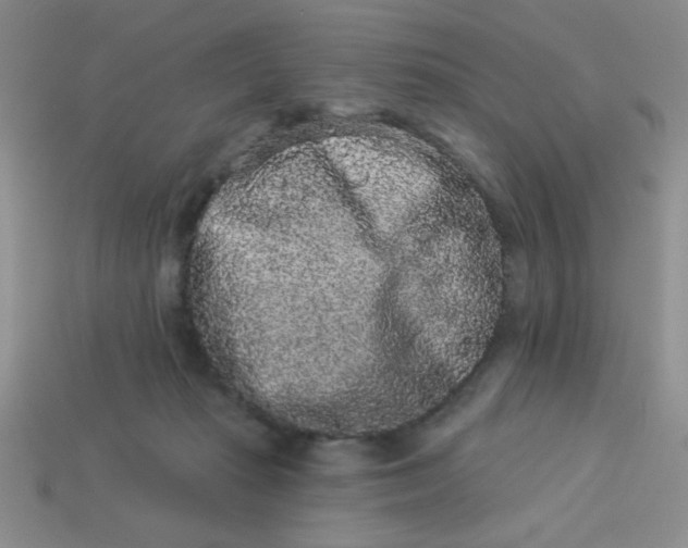 X0000113980269200910161629