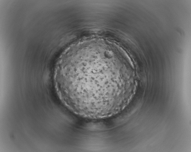 X0000113980270200910161629