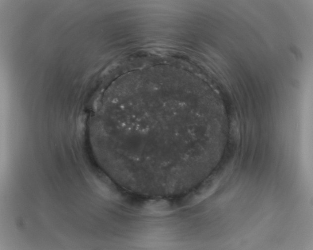 X0000113980271200910161629