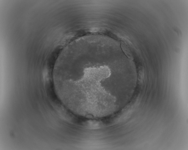 X0000113980272200910161629