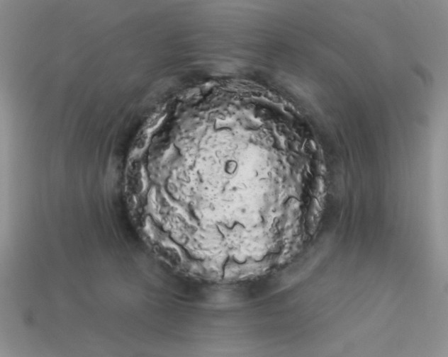 X0000113980273200910161629