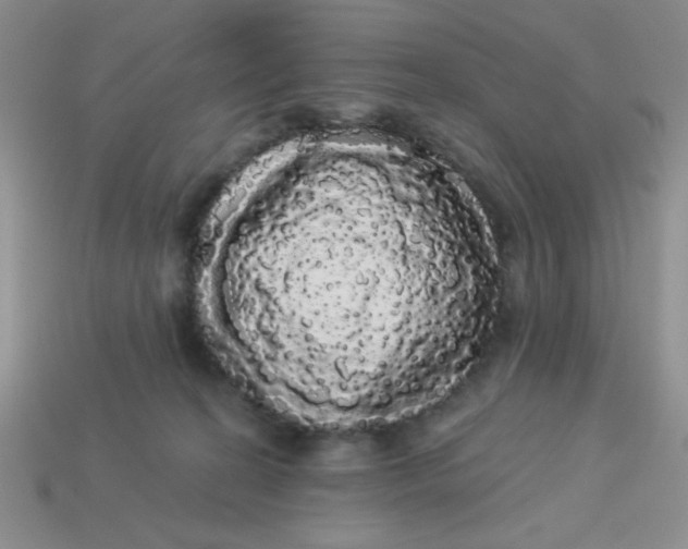 X0000113980274200910161629