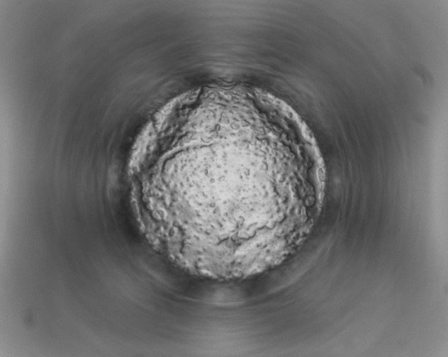 X0000113980275200910161629