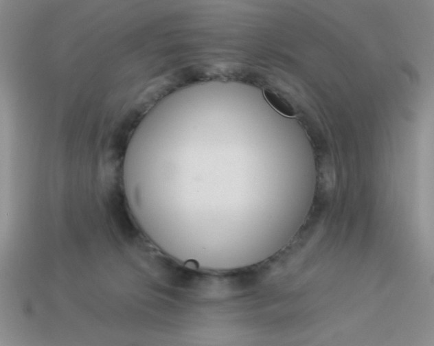 X0000113980276200910161629