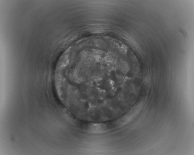 X0000113980277200910161629