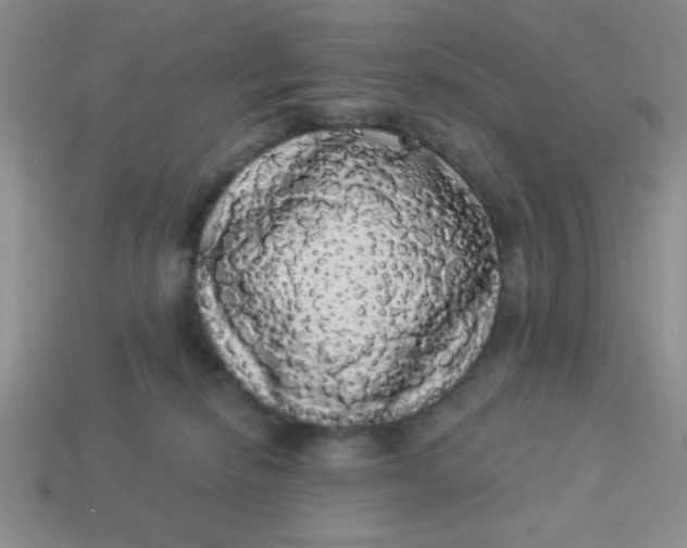 X0000113980278200910161629