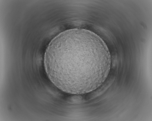 X0000113980279200910161629