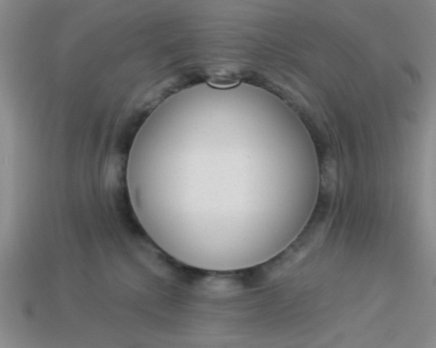 X0000113980280200910161629