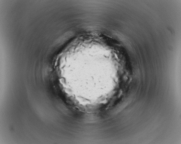 X0000113980281200910161629