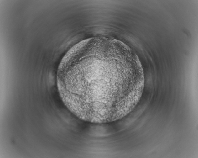 X0000113980282200910161629