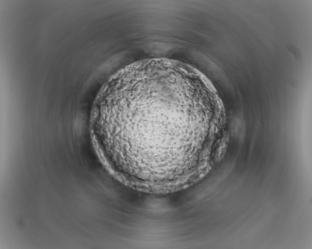 X0000113980283200910161629