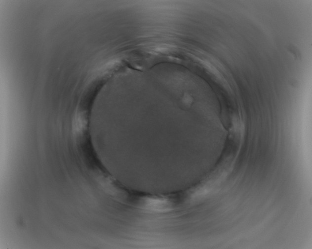 X0000113980284200910161629