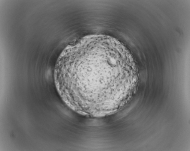 X0000113980286200910161630