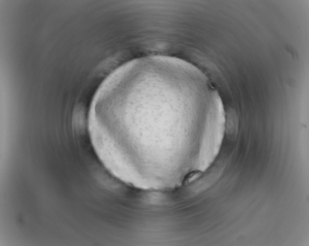 X0000113980287200910161630