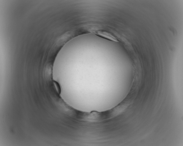 X0000113980288200910161630