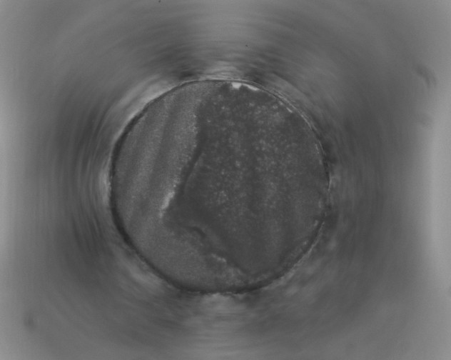 X0000113980290200910161629