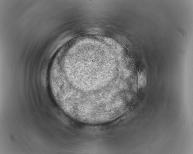 X0000113980291200910161629