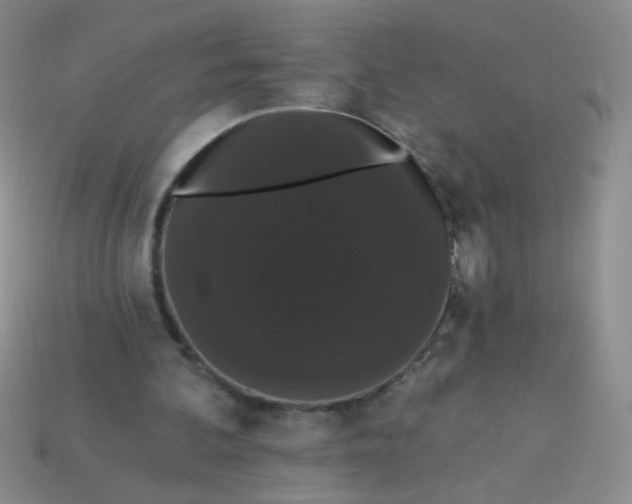 X0000113980292200910161629