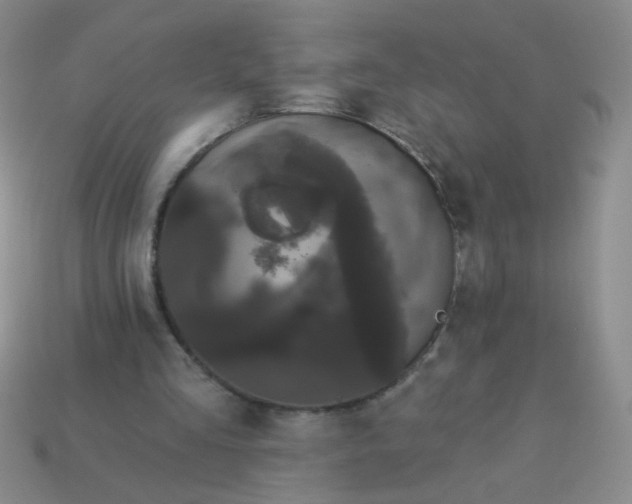 X0000113980293200910161629