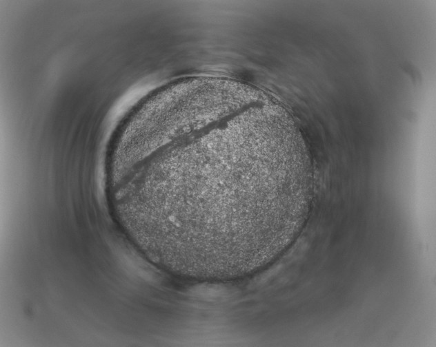 X0000113980294200910161629