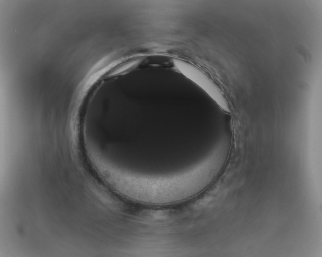 X0000113980295200910161629