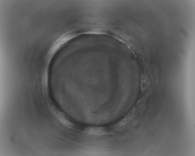 X0000113980296200910161629