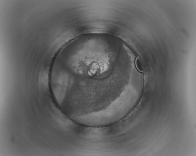 X0000113980297200910161629