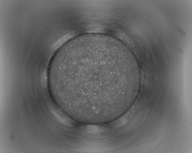 X0000113980298200910161629