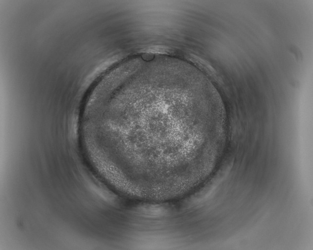 X0000113980299200910161629