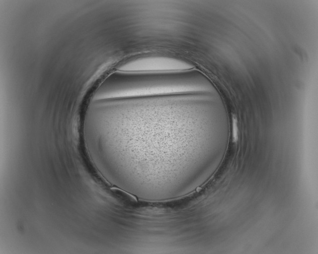 X0000113980300200910161629