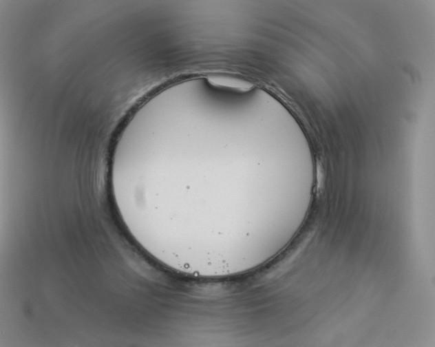 X0000113980301200910161629