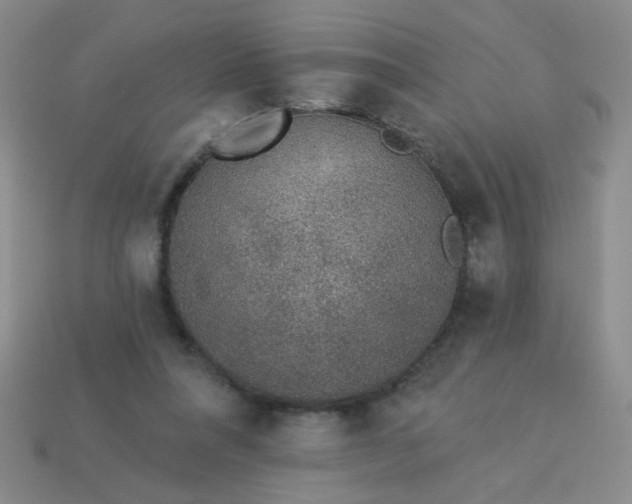 X0000113980304200910161629