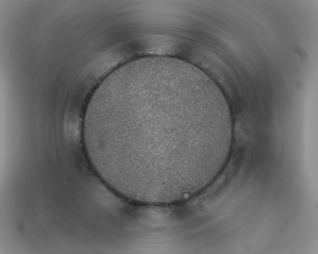 X0000113980305200910161629