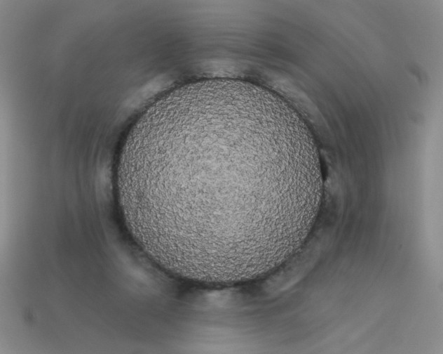 X0000113980306200910161629