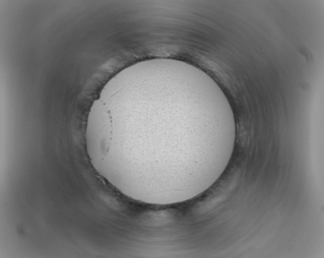 X0000113980307200910161629