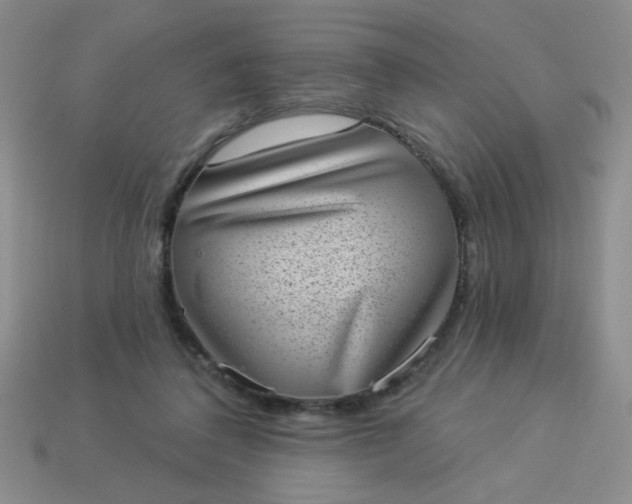 X0000113980308200910161629