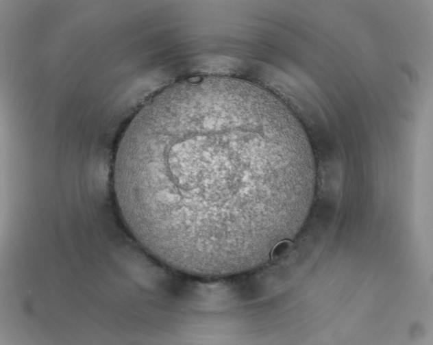 X0000113980309200910161629